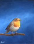 roodborst op takje